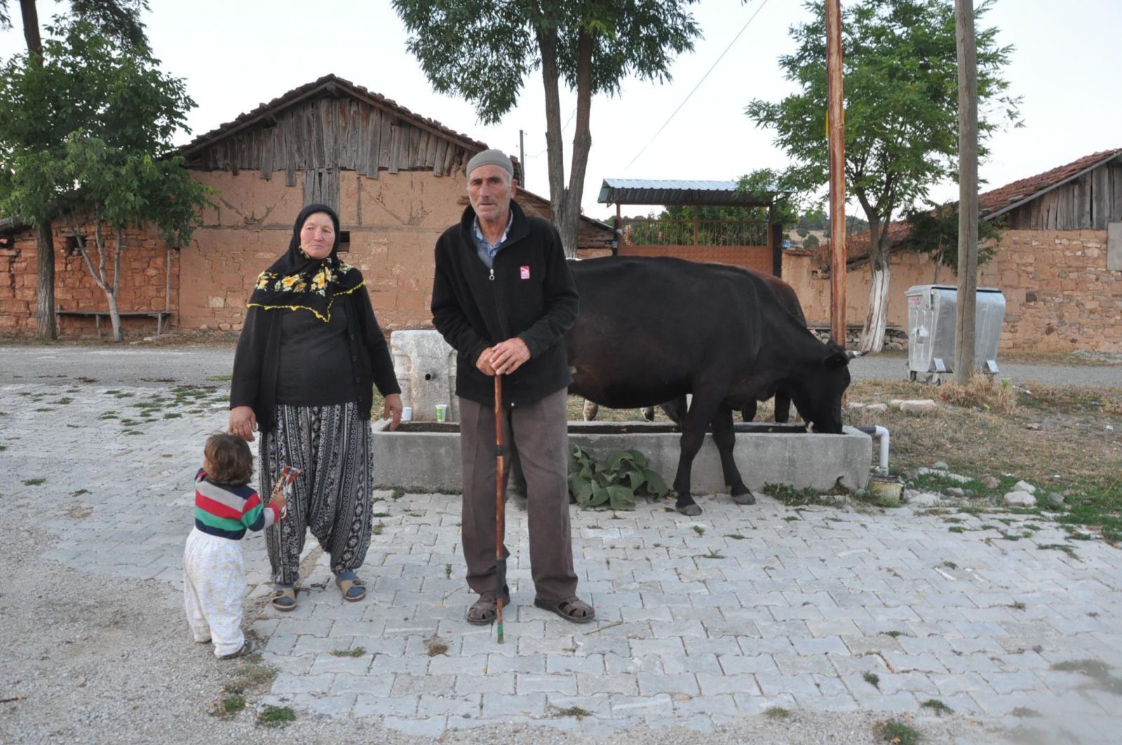 Telef olan inekleri için ağlayan çifti güldüren hediye