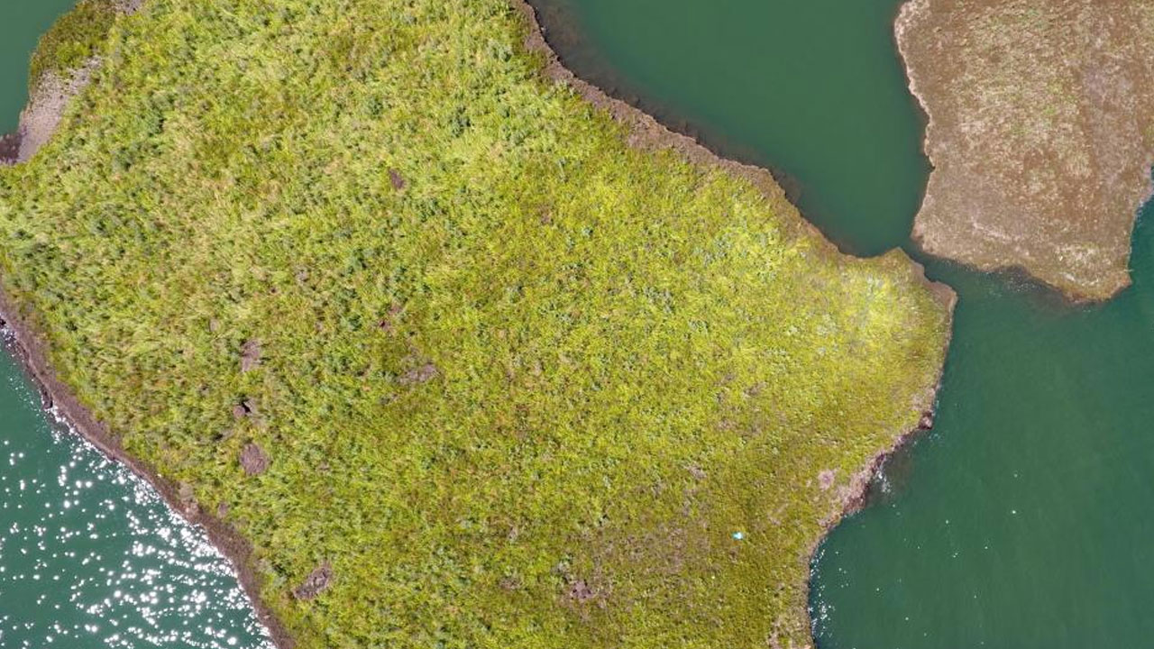 Çat Baraj Göleti üzerinde bulunan yüzen adaların atmosferi koruduğu ortaya çıktı