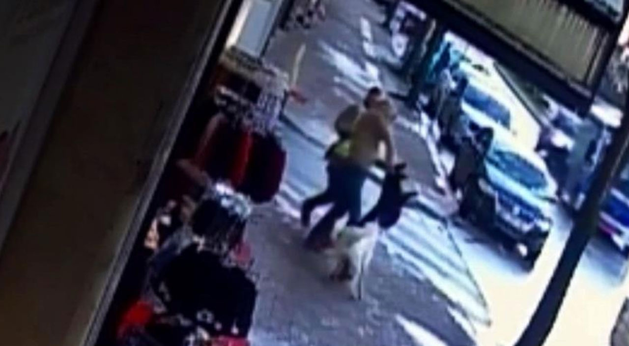 3 kişiyi ısıran köpek ihbarın üzerine gelen belediye çalışanını da ısırdı