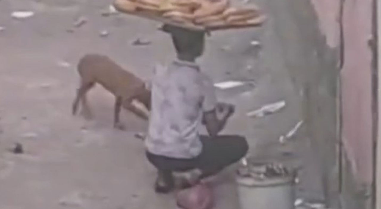 Sosyal medyada tıklanma rekoru kırdı… Gaziantep'te çekilen görüntü insanlık ölmemiş dedirtti