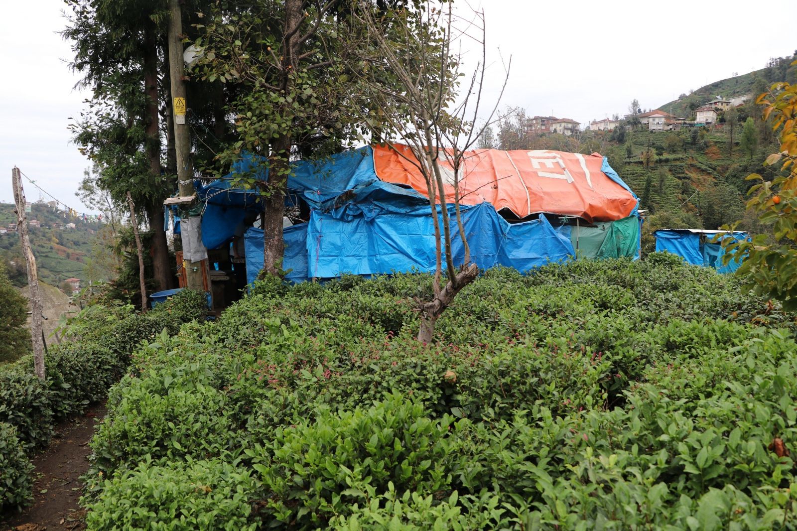 15 senedir yaz kış çadırda yaşıyor