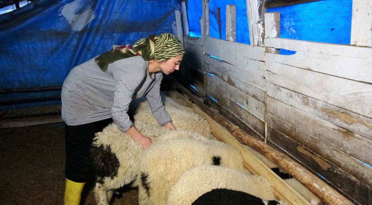 Cumhurbaşkanı Erdoğan ortaklık teklif etti! Genç çiftçinin azmi örnek oldu