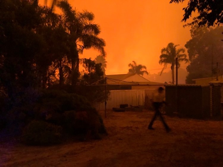 Avustralya’da orman yangını: 60 bin hektar alan küle döndü