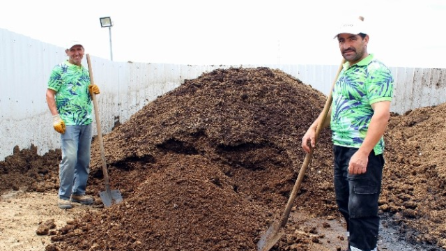 Karın tokluğuna çalışıp iyi para kazandırıyorlar