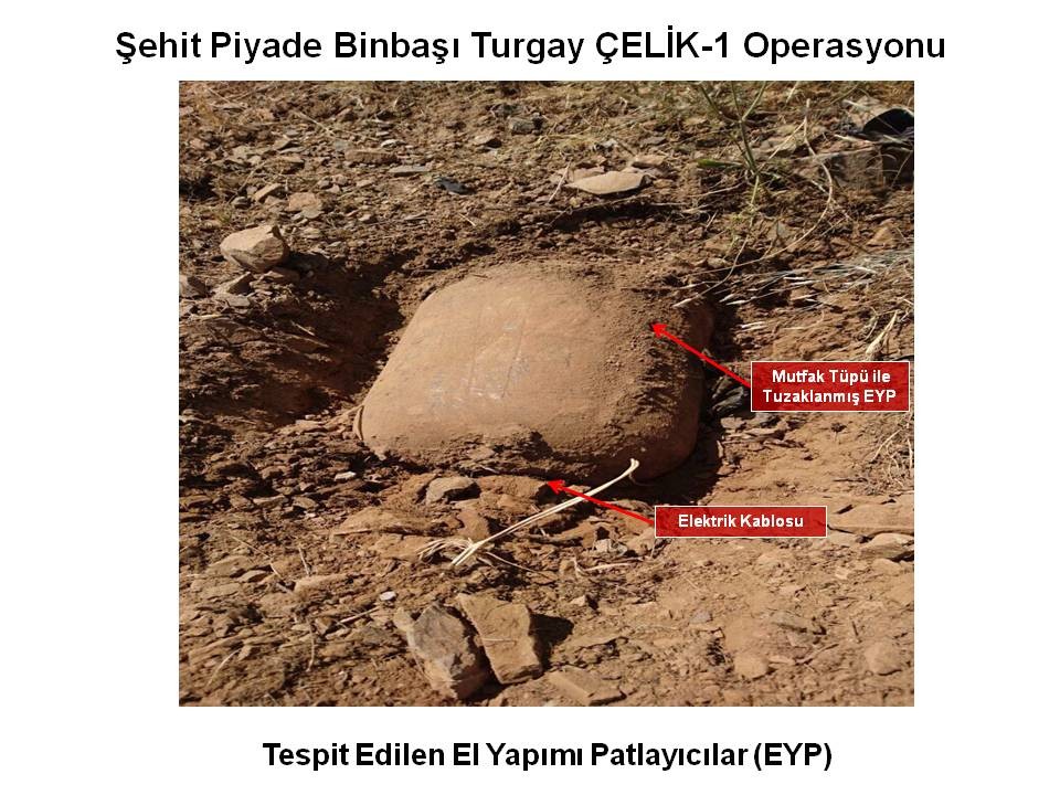 Lice operasyonunda ele geçirilenler