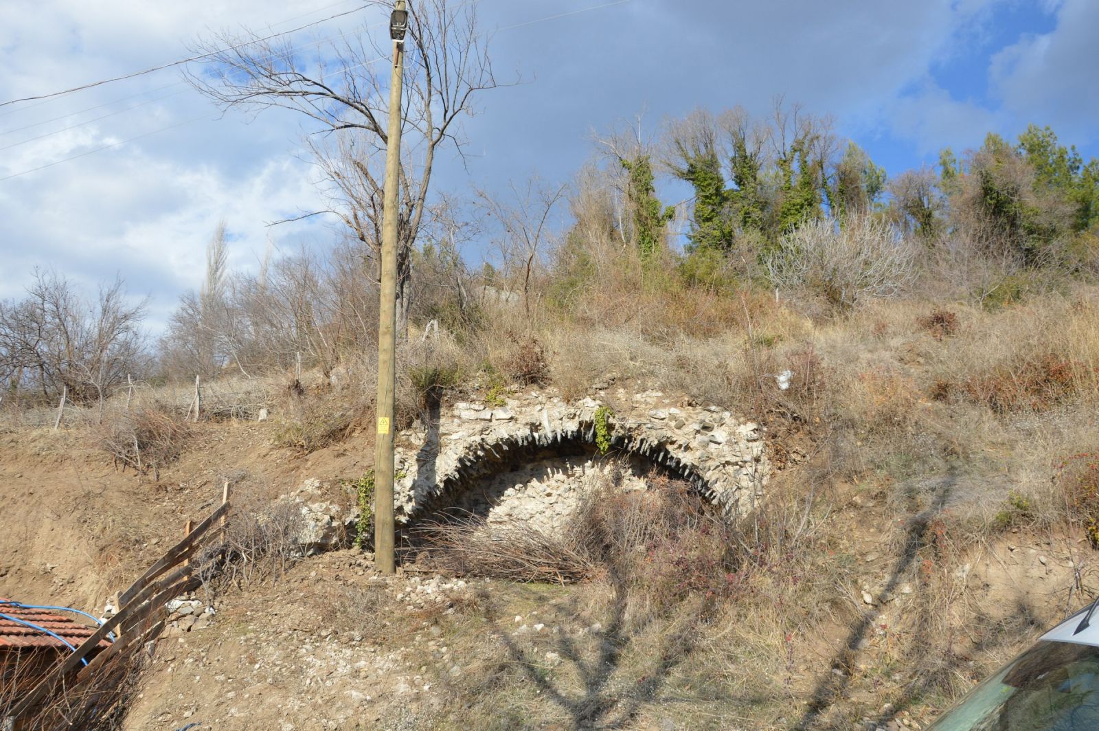 Tokat’ta mahalleliyi ayı korkusu sardı