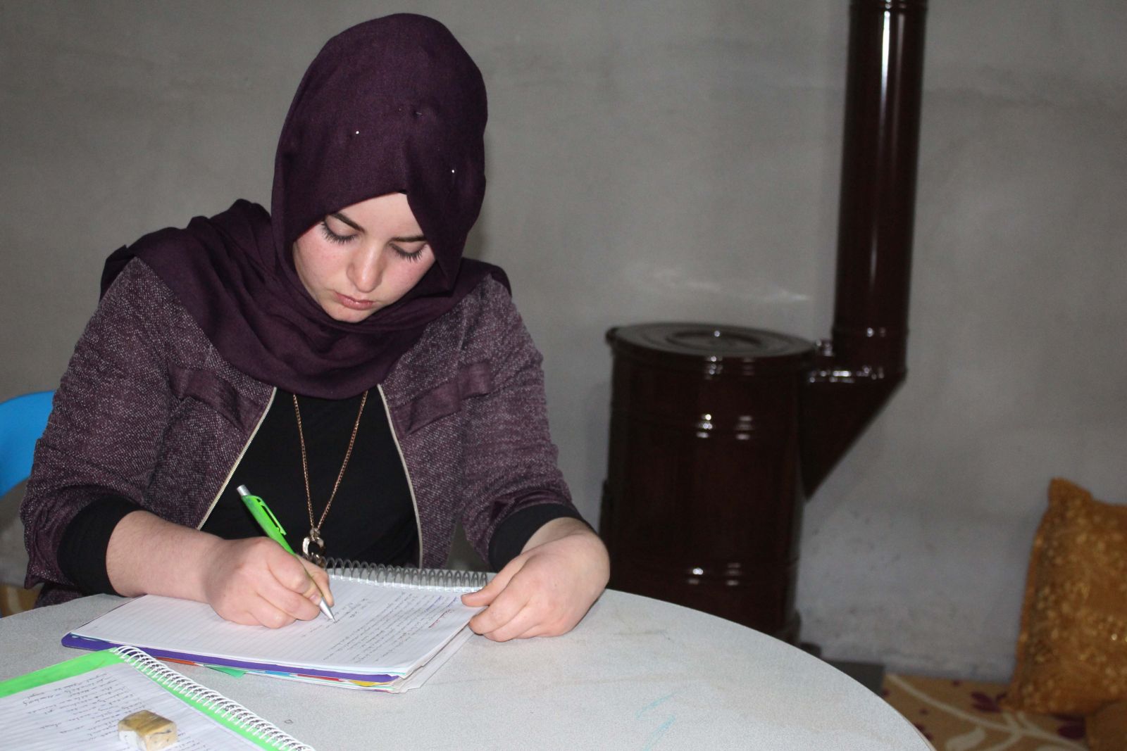 Liseli kız, hayvan otlatarak yazdığı kitabı için sponsor bekliyor