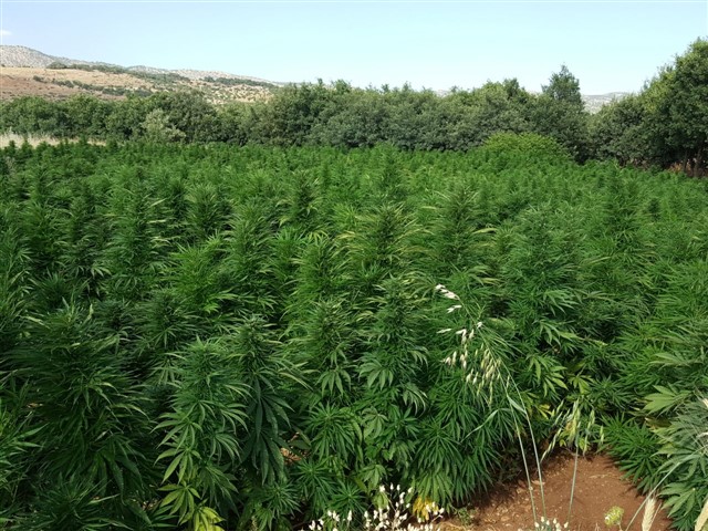 Diyarbakır'da 3 katlı sığınak ele geçirildi