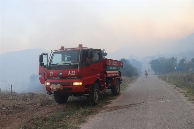 Denizli'de orman yangını