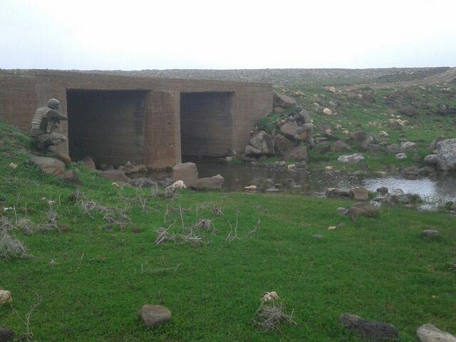 Şanlıurfa'ya sızmaya çalışan PKK'lılar için operasyon başlatıldı