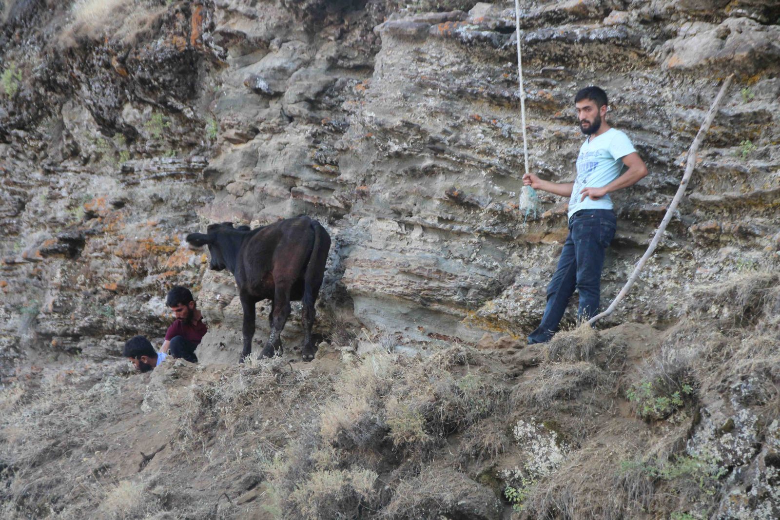 Muş'ta görenleri şaşkına çeviren manzara!