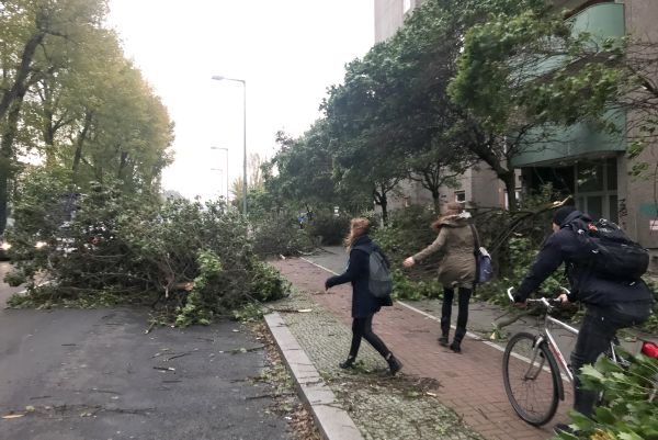 Almanya'da şiddetli kasırga: 7 ölü