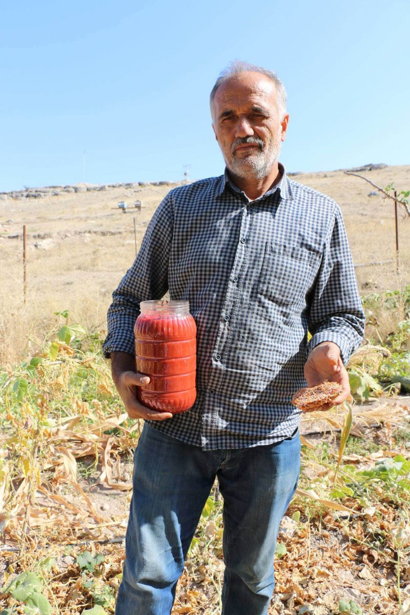 3 bin 500 yıllık vadide genetiği bozulmamış sebze tohumlardan ürün elde etti