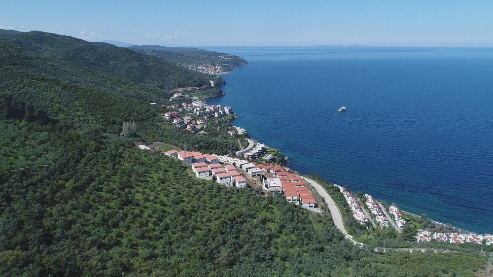 CHP'li belediye zeytinlikleri arsaya dönüştürdü