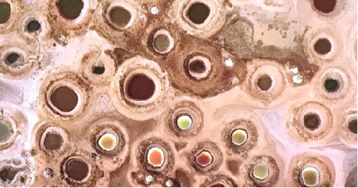 Liciang, Himalaya’da bir antik kasaba