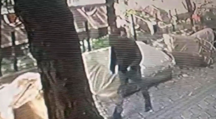 Bağcılar'da kadın öğretmene saldırı