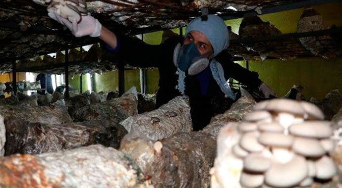 Devlet desteği ile kendi işinin patronu oldu