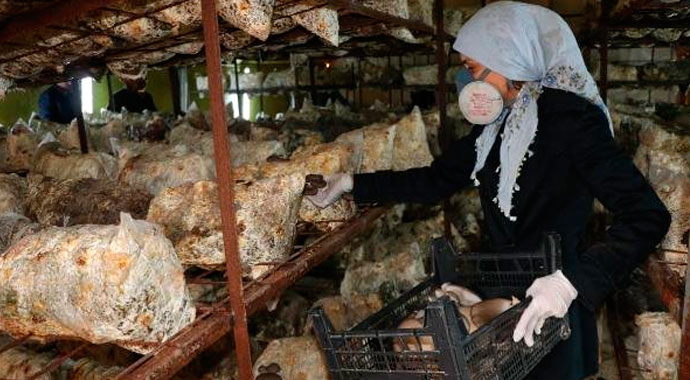 Devlet desteği ile kendi işinin patronu oldu