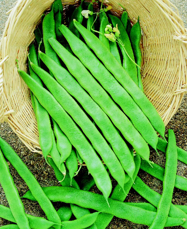 Bütün hastalıklara deva bu sebze ve meyveler