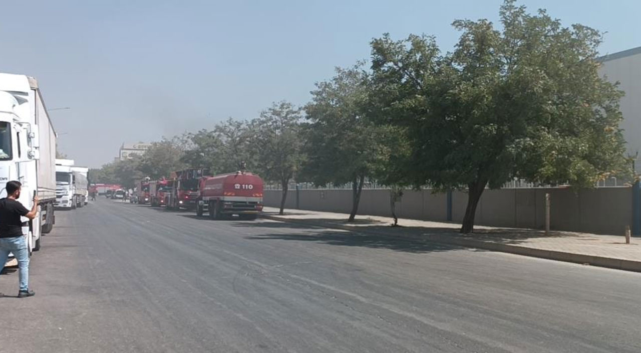 Canlı yayında İHA muhabirine çirkin saldırı