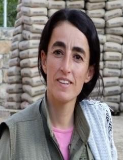 Yeşil kategoride aranan terörist etkisiz hale getirildi