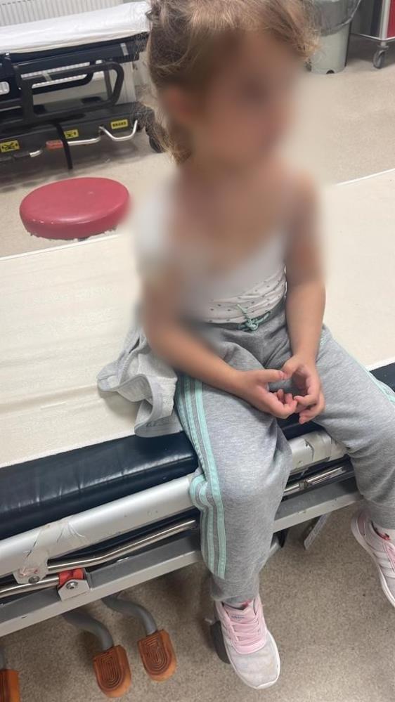 Samsun'da dehşet! Köpeklerin saldırısına uğrayan anne kız hastanelik oldu