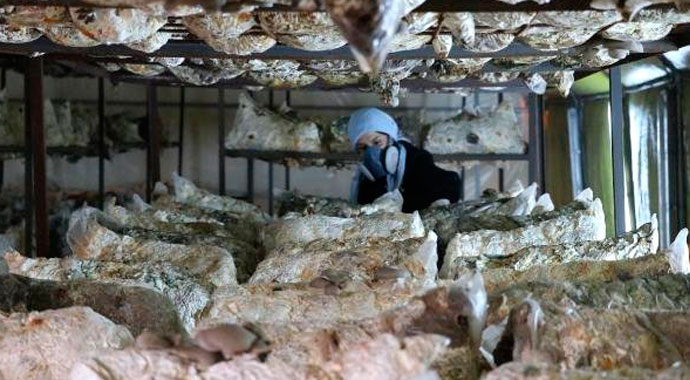 Devlet desteği ile kendi işinin patronu oldu