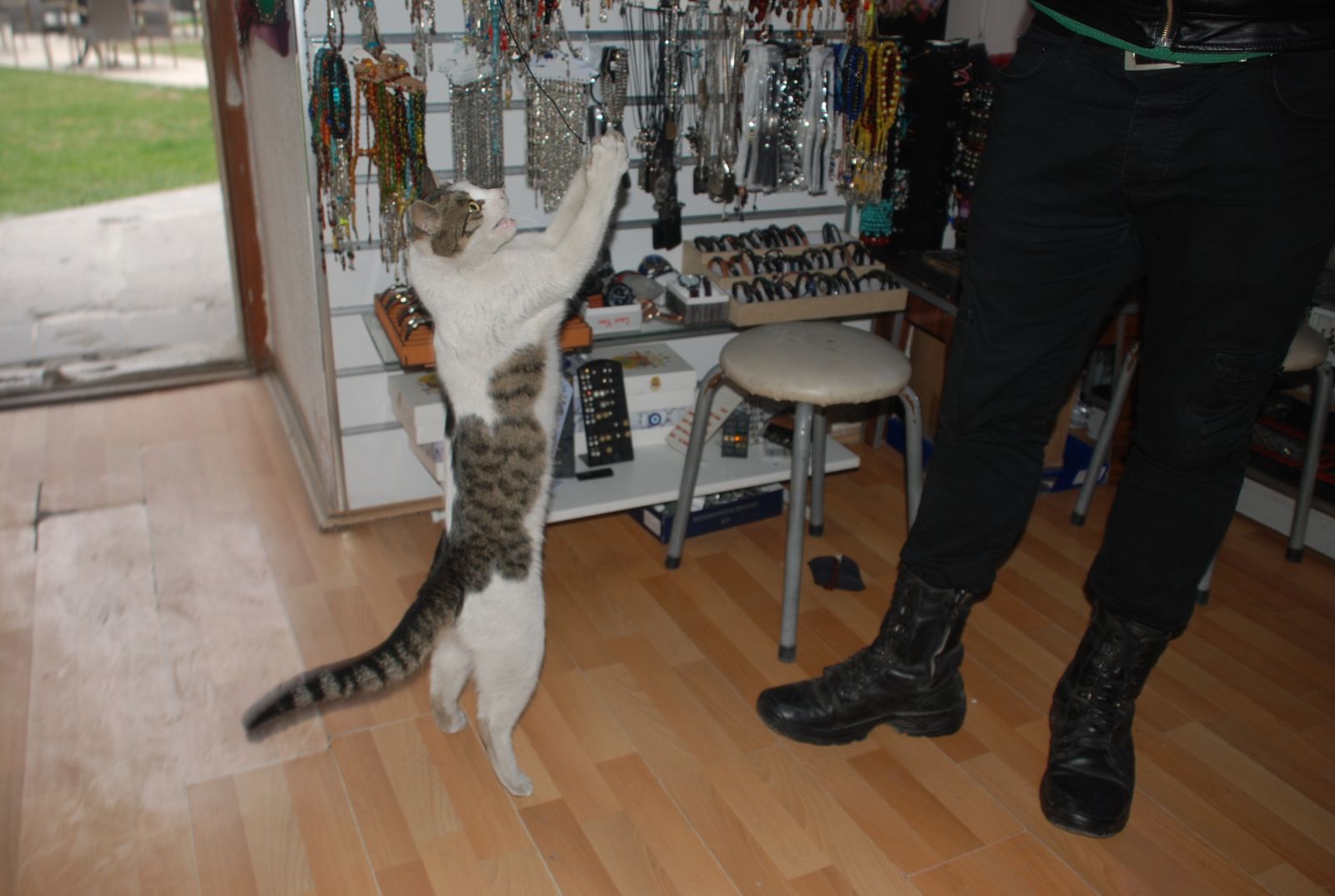 Isınmak için sığındı, yuvası oldu