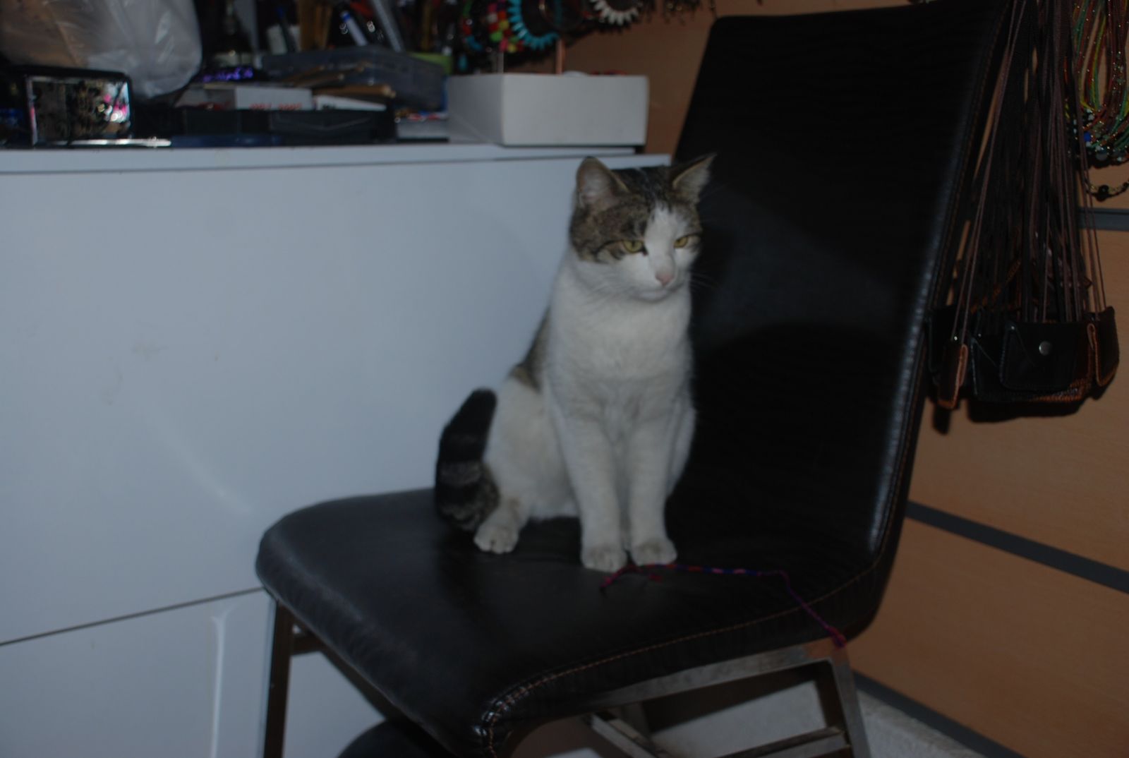 Isınmak için sığındı, yuvası oldu