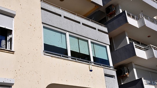 Mahallede 'yarasa' krizi