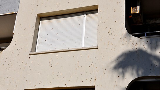 Mahallede 'yarasa' krizi