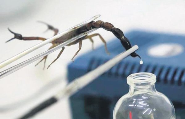 Ünlü patronların cebinden akrep çıktı