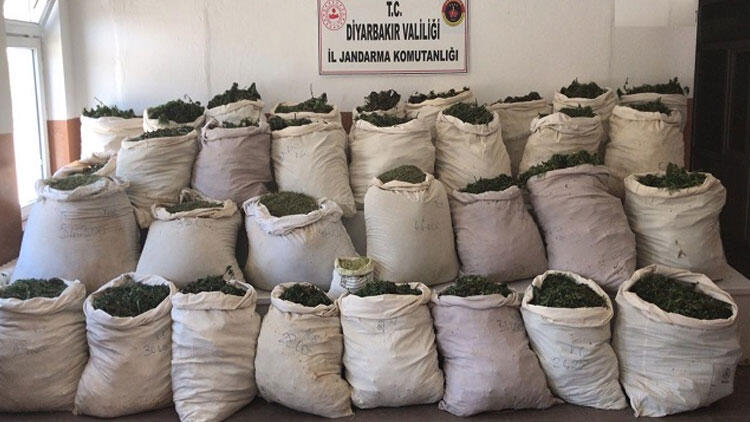 Diyarbakır'da dev operasyon! 1 milyon 349 bin 104 kök ele geçirildi… Diyarbakır'da dev operasyon! 1 milyon 349 bin 104 kök ele geçirildi…
