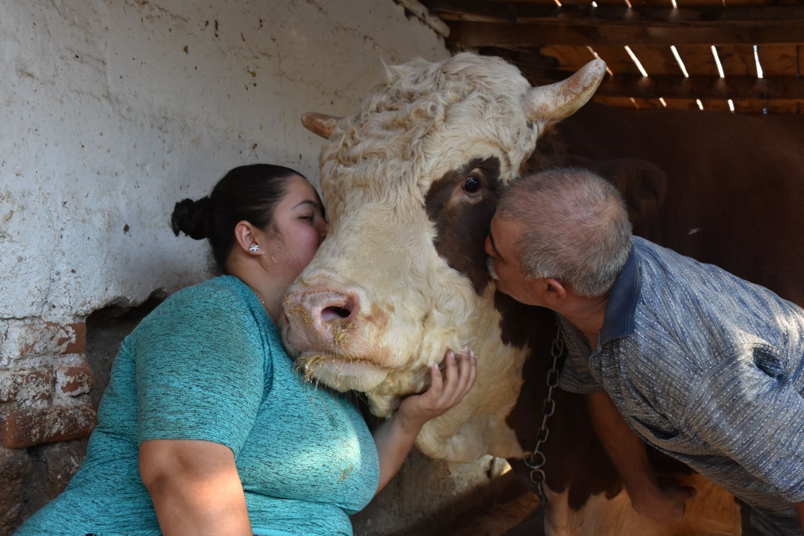 'Şampiyon Doruk'un fiyatına inanamayacaksınız!