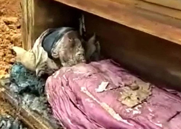 Tesadüfen buldukları tabutu açınca herkes dondu kaldı!