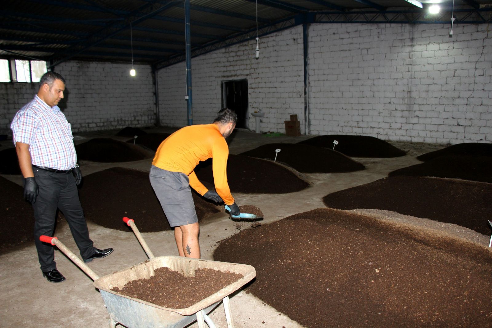 Müdürlüğü bıraktı solucan gübresi işine girdi