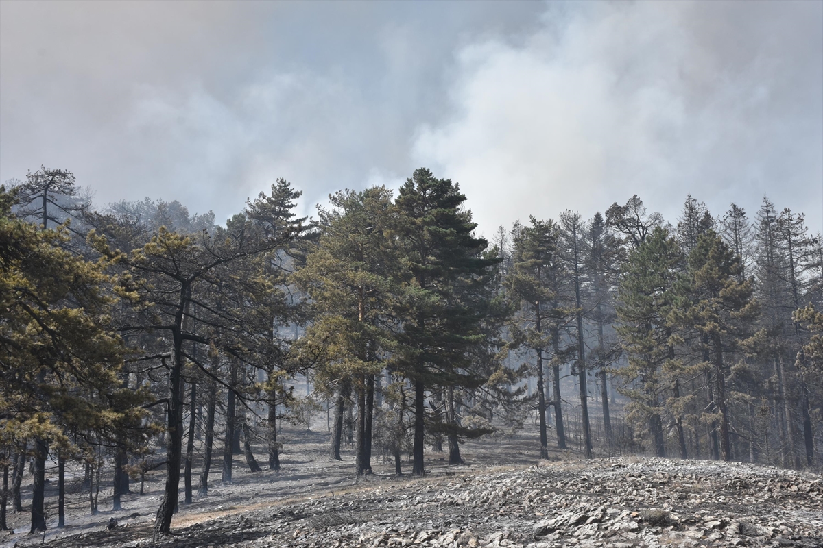 Kütahya'daki yangın 3. gününde