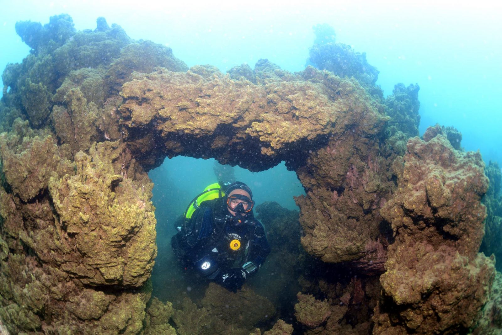 Van Gölü’nün yeni sırları ortaya çıkıyor