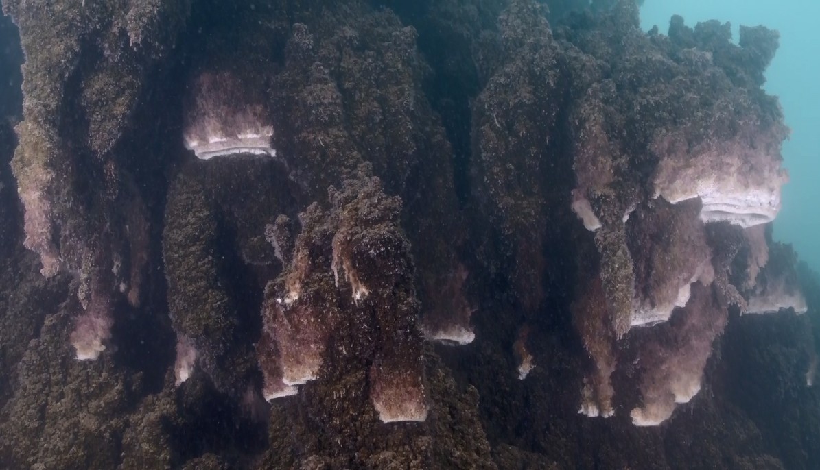 Van Gölü'nün dibindeki kalıntılar dünyaya tanıtılacak