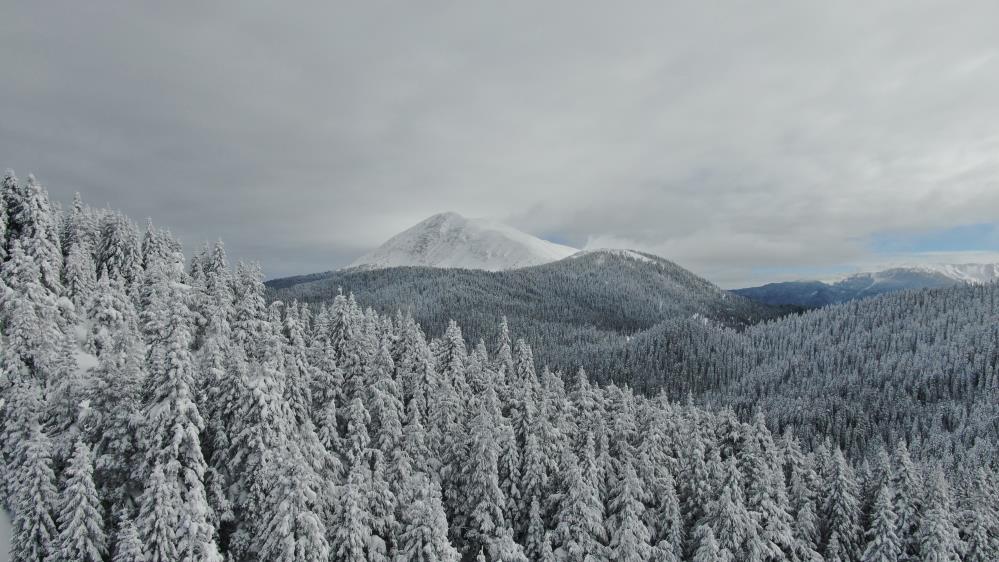 Ilgaz Dağı'nda kar kalınlığı 1,5 metreyi aştı, manzara hayran bıraktı