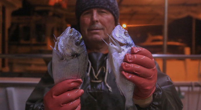 Muğlalı balıkçılar 