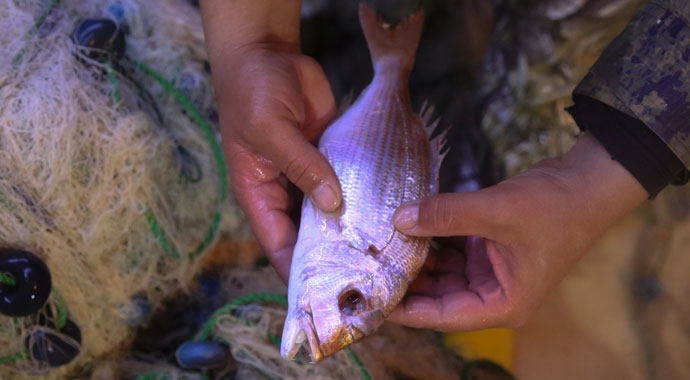 Muğlalı balıkçılar 