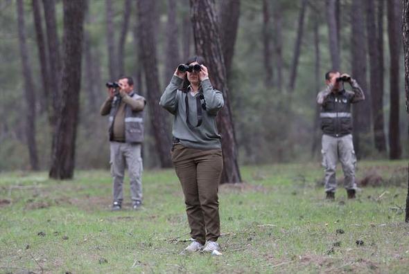 Hayvanat bahçesinden kaçtı her yerde aranıyor