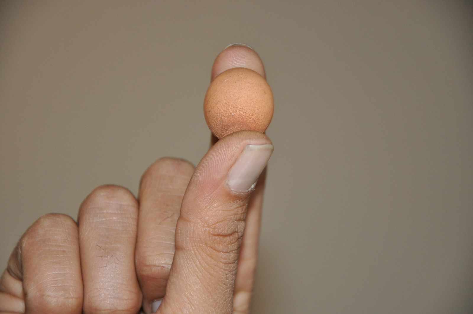 2,85 gramlık yumurta şaşırttı