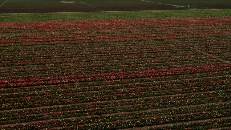 'Yerdeki gökkuşağı'na turist ilgisi