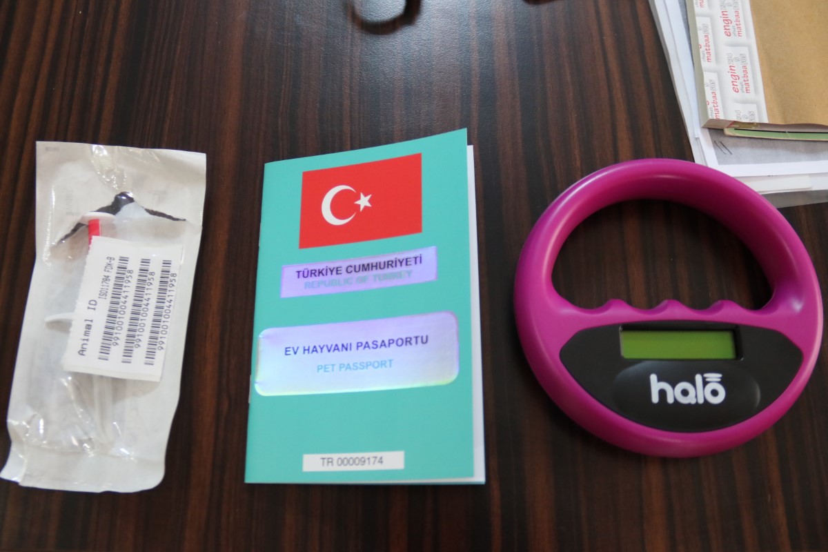 Bu köpek ırklarına sahip olanlar dikkat! Mikroçip takılacak Bu köpek ırklarına sahip olanlar dikkat! Mikroçip takılacak