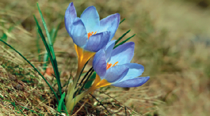 Çıkıp şu dağlara yaslanmalı