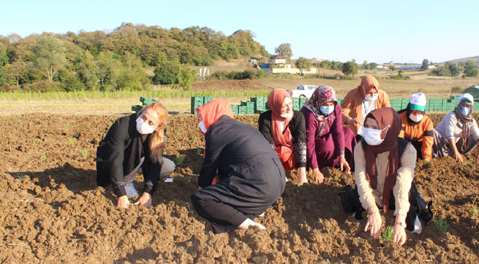 Sanayi şehrinde örnek tarım projesi