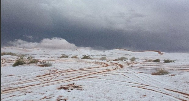 Suudi Arabistan'da çöle aniden kar yağdı