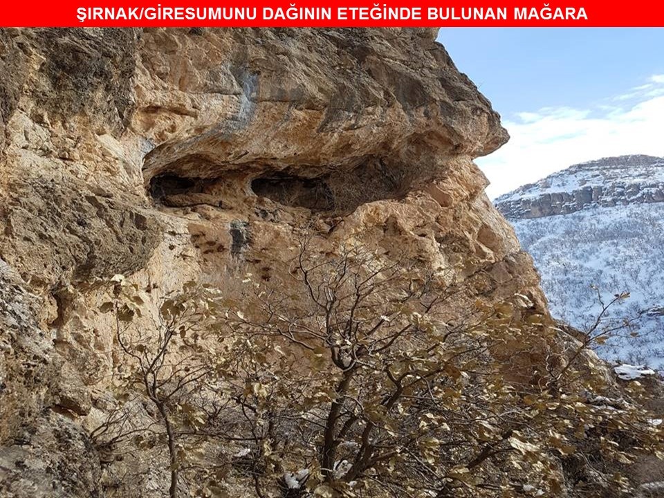 Şırnak'ta operasyon! Çok çarpıcı görüntüler geldi...